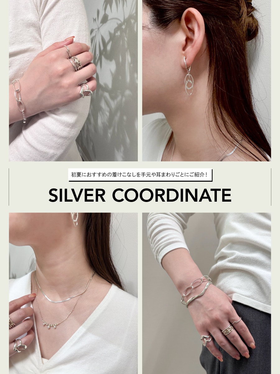 SILVER COORDINATE