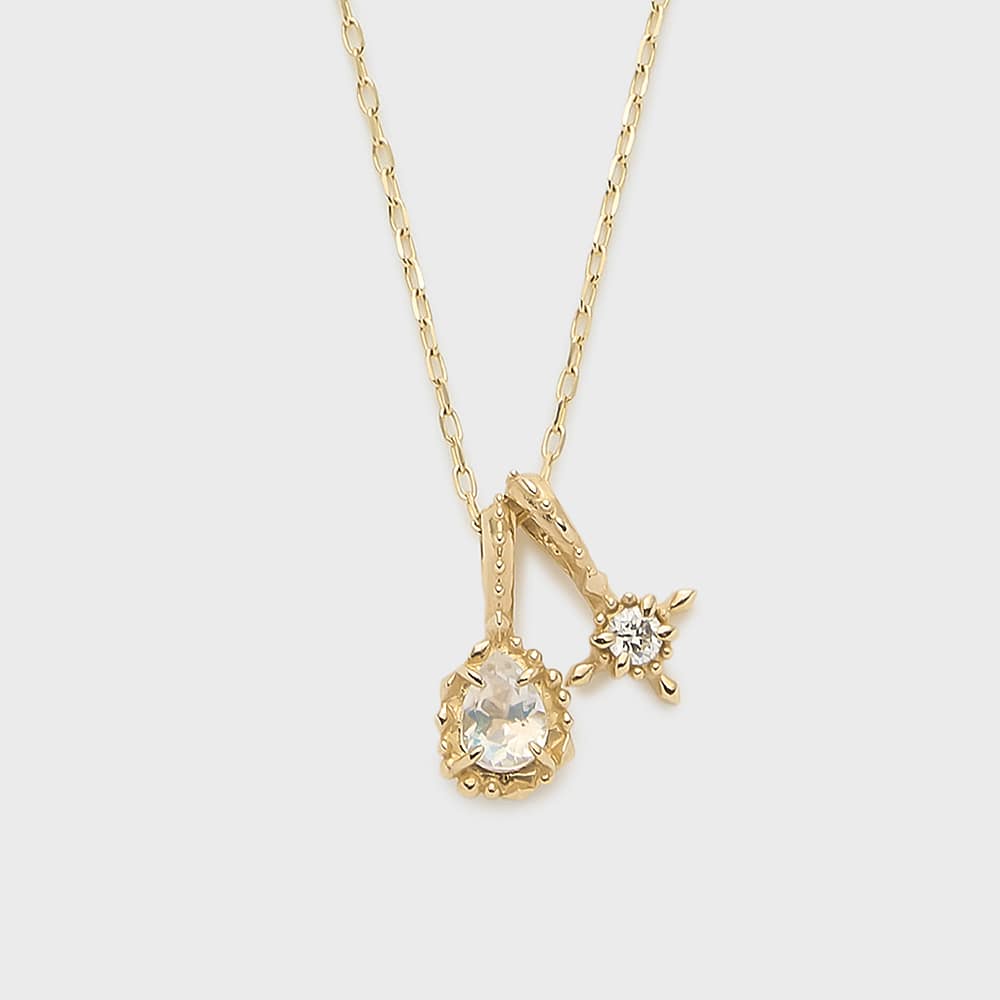 【Christmas Limited Edition】K10チャームセットネックレス